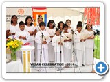 DSC_0210 copy