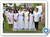 DSC_0278 copy