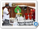 DSC_0785 copy